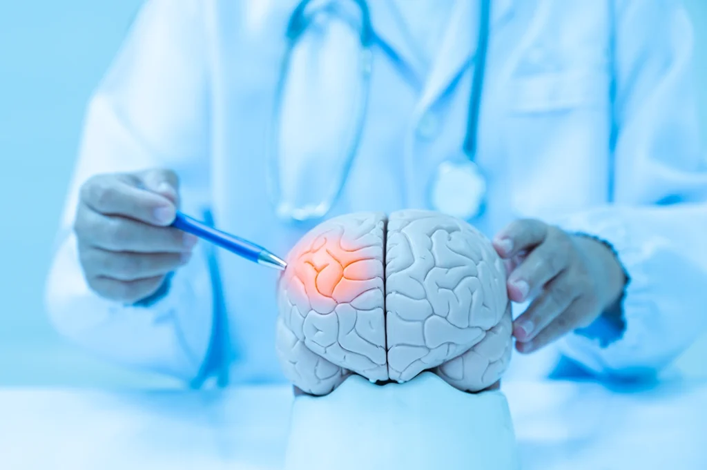 La Neurociencia y la Psicología 2025 abrirán nuevas líneas de investigación.