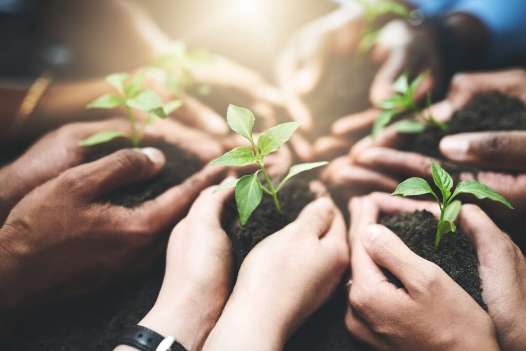 Cambio climático global en 2025.