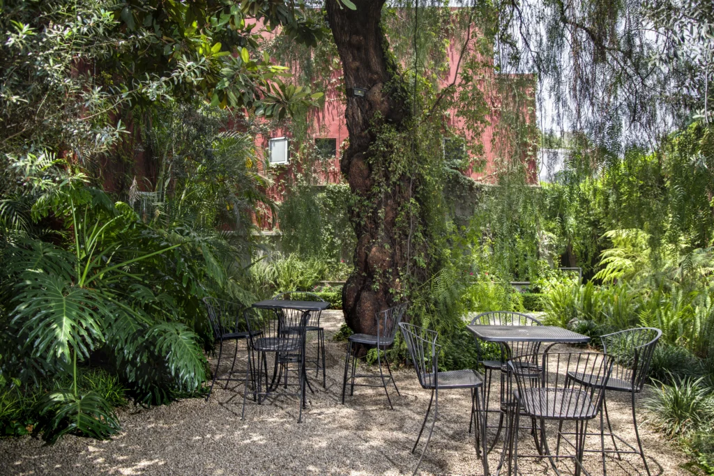 En Universidad Humanitas, te brindamos espacios de tranquilidad para que explores tu creatividad.