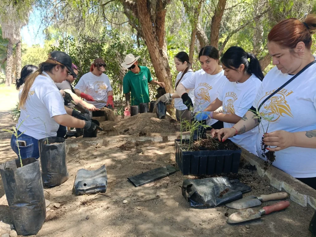 Humanitas Vive brinda la oportunidad de reforestar para un mayor impacto social.
