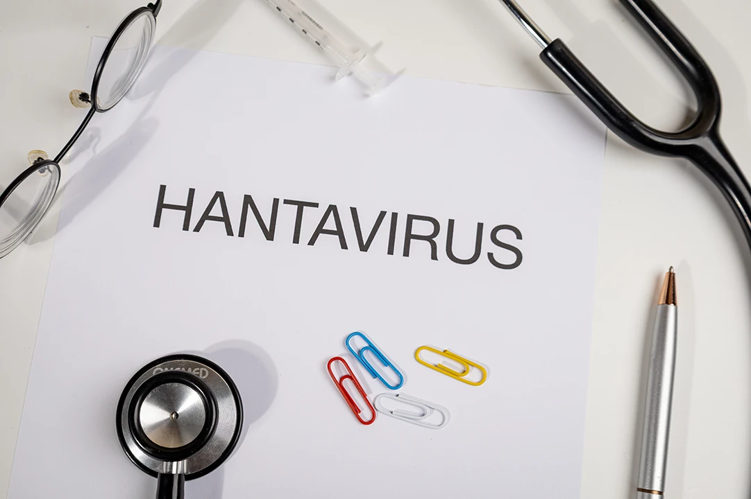 Hantavirus: ¿Hay que preocuparse? La respuesta requiere contexto médico.